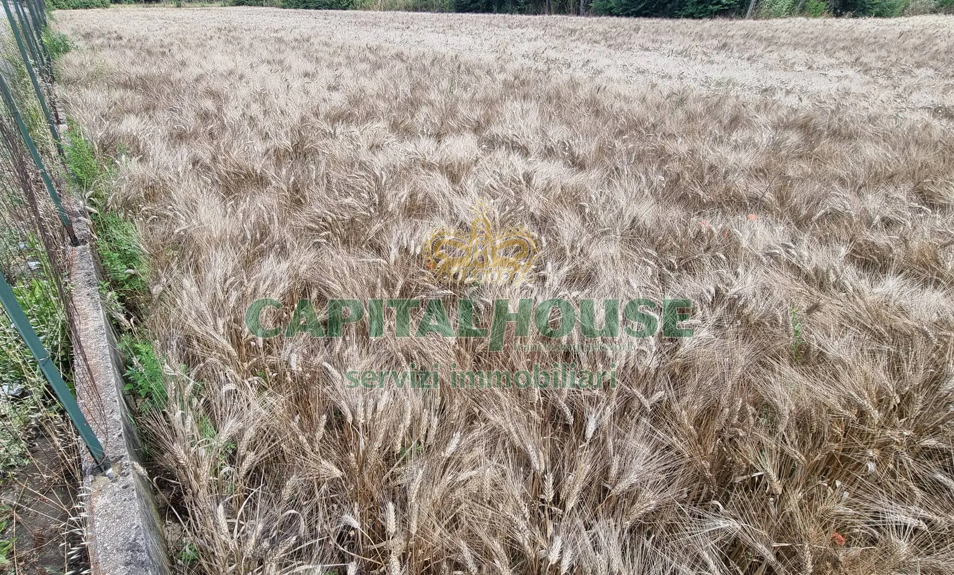 Immagine per Terreno Agricolo in vendita a San Marco Evangelista  