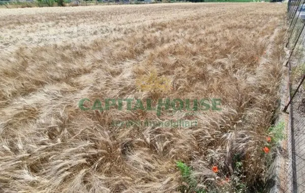 Terreno Agricolo via, San Marco Evangelista