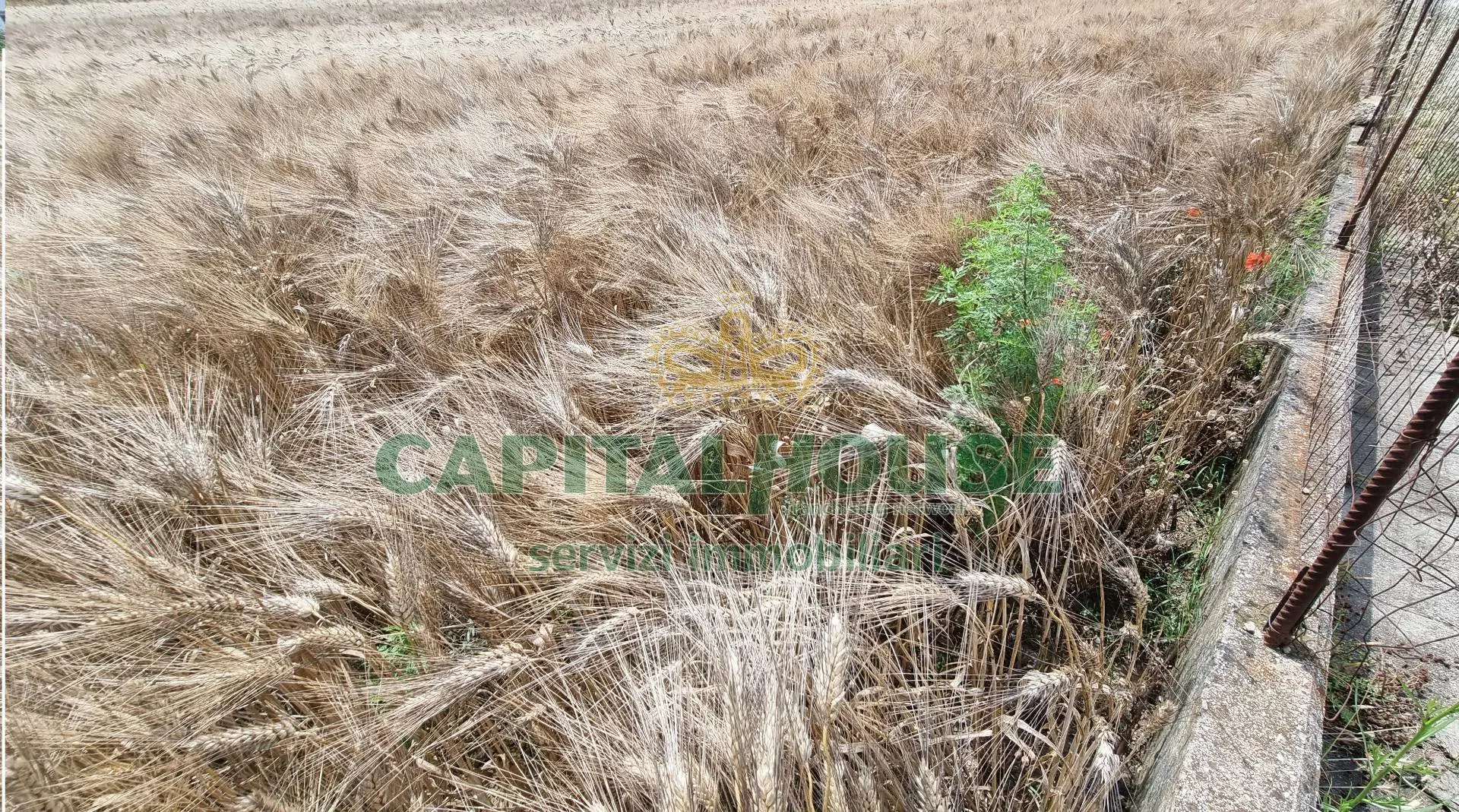Immagine per Terreno Agricolo in vendita a San Marco Evangelista  