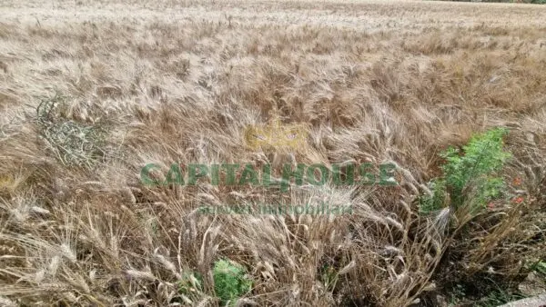 Terreno Agricolo via, San Marco Evangelista