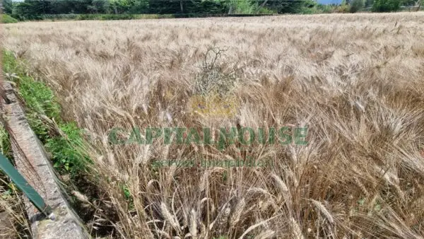 Terreno Agricolo via, San Marco Evangelista