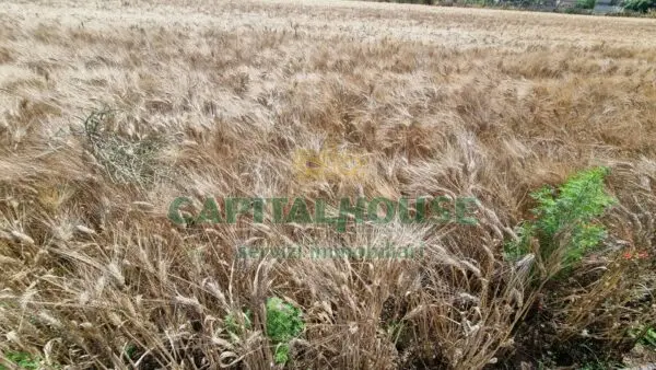 Terreno Agricolo via, San Marco Evangelista