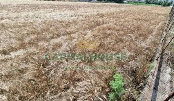 Terreno Agricolo via, San Marco Evangelista