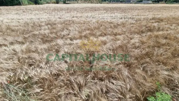 Terreno Agricolo via, San Marco Evangelista