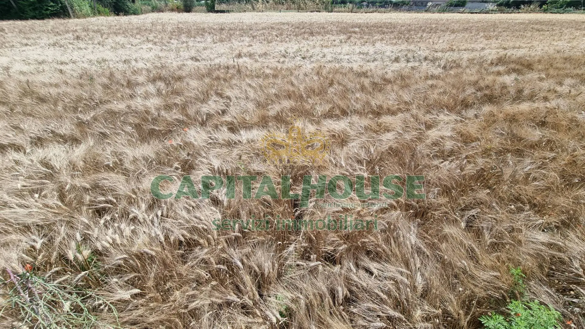Immagine per Terreno Agricolo in vendita a San Marco Evangelista  