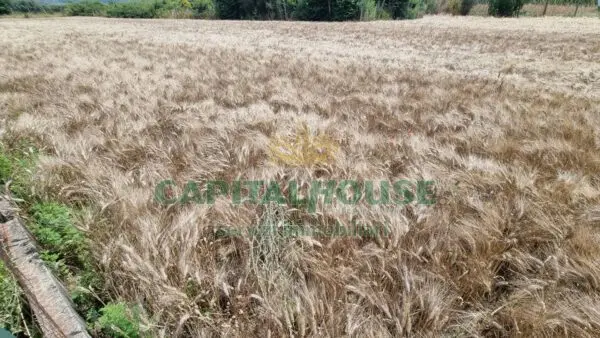 Terreno Agricolo via, San Marco Evangelista