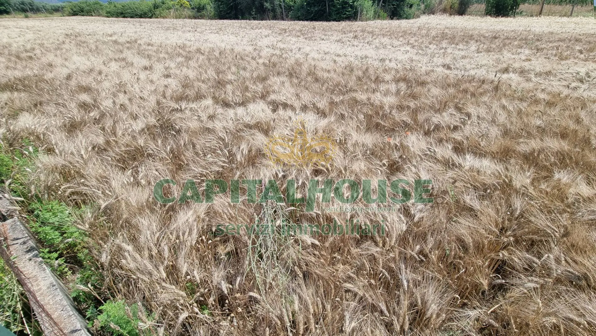 Immagine per Terreno Agricolo in vendita a San Marco Evangelista  