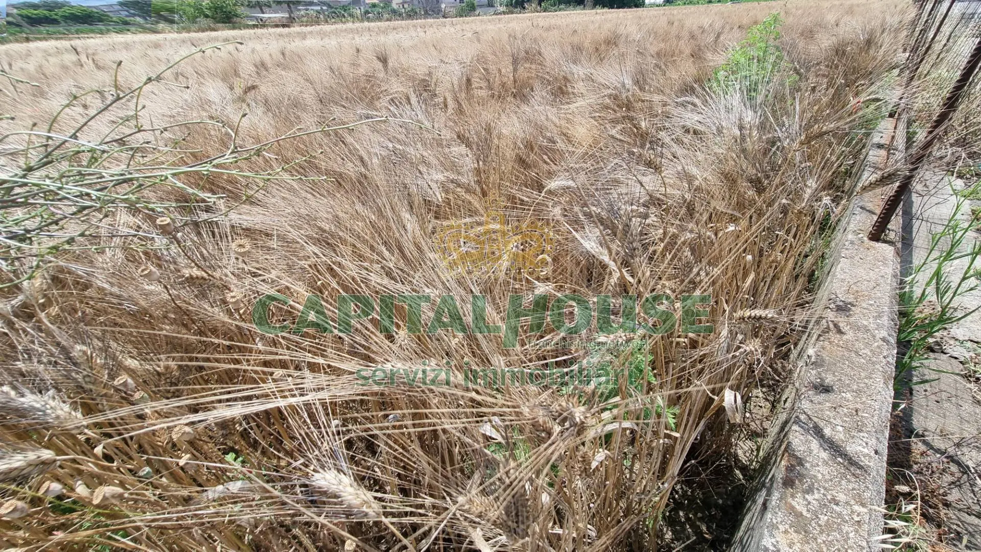 Immagine per Terreno Agricolo in vendita a San Marco Evangelista  