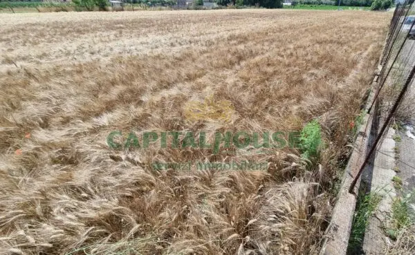 Terreno Agricolo via, San Marco Evangelista