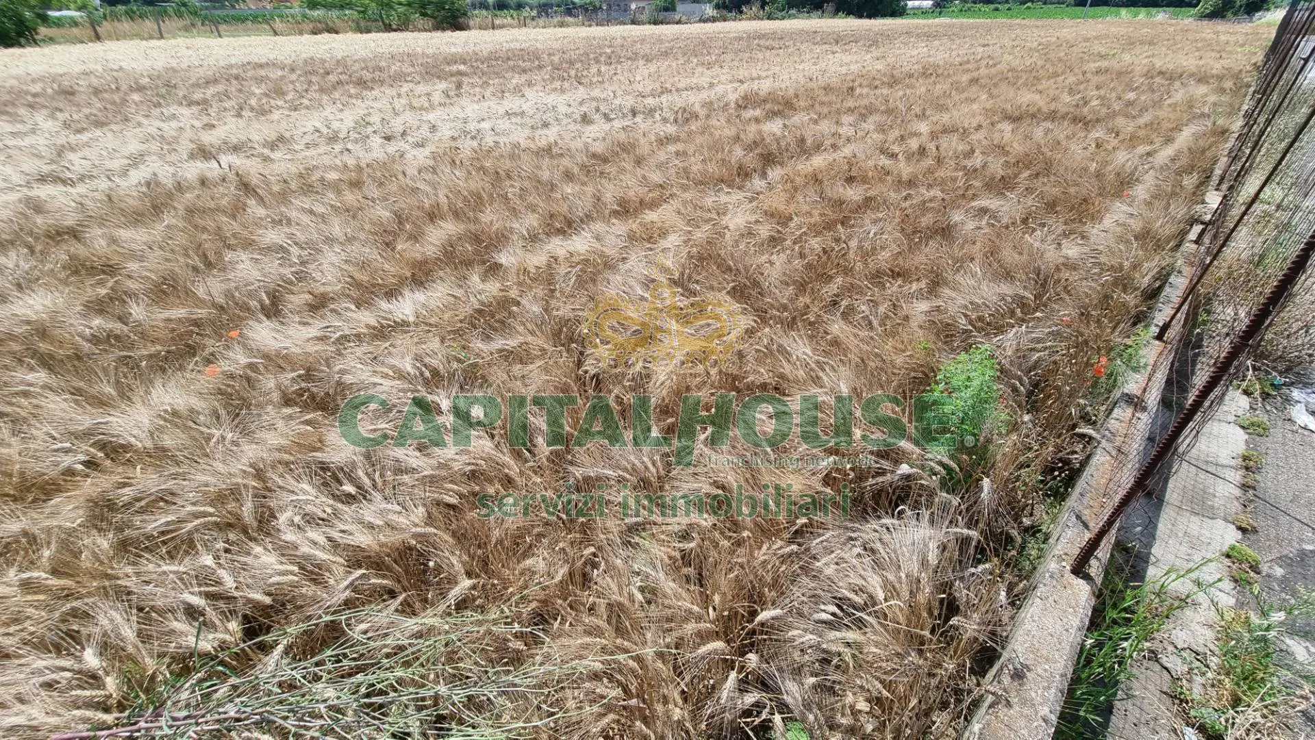 Immagine per Terreno Agricolo in vendita a San Marco Evangelista  