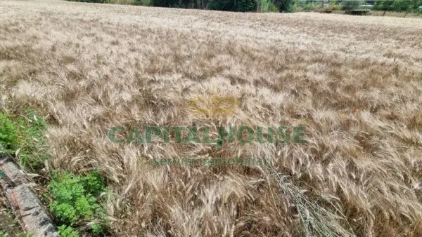 Terreno Agricolo via, San Marco Evangelista