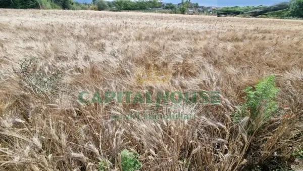 Terreno Agricolo via, San Marco Evangelista