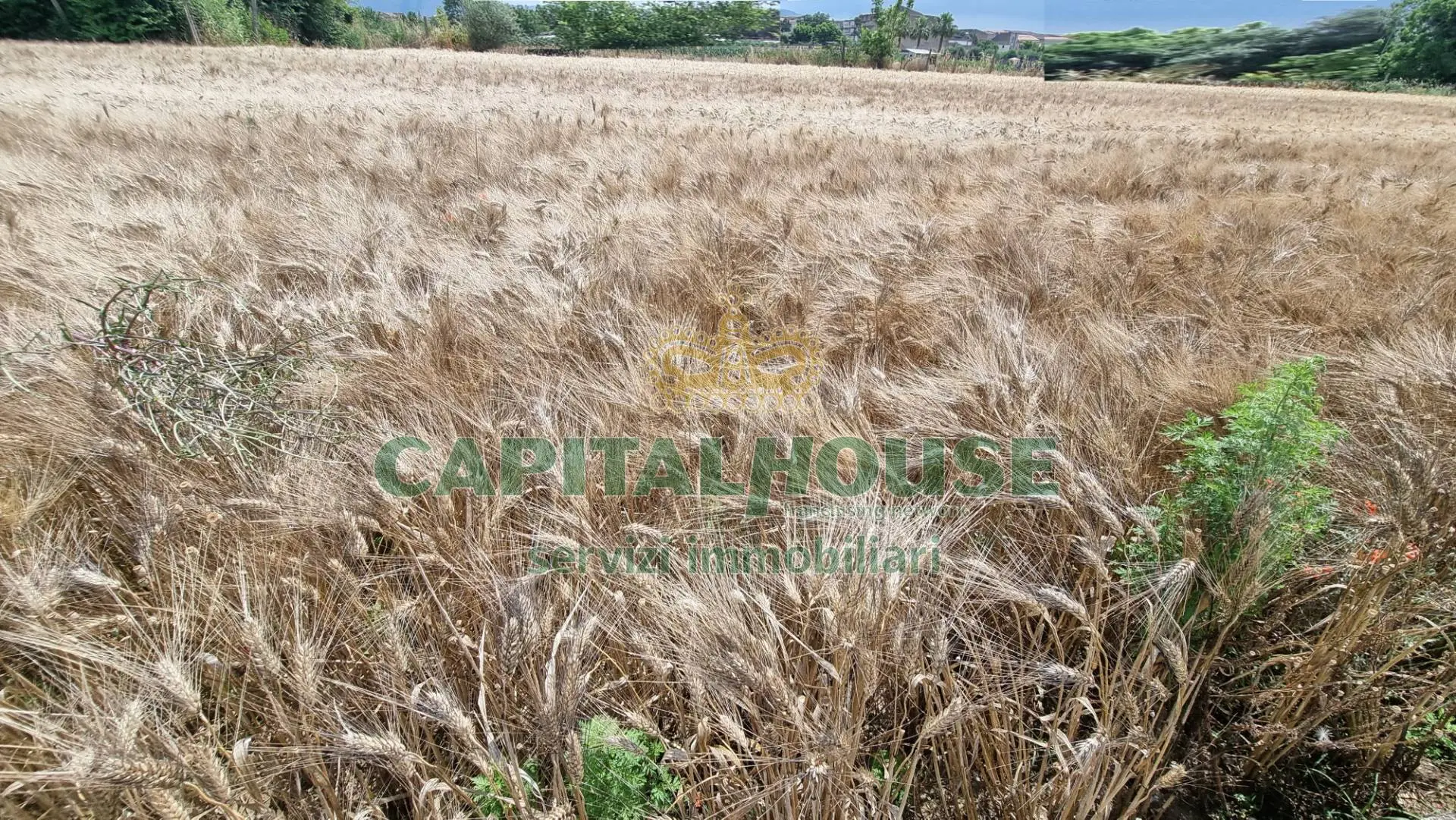 Immagine per Terreno Agricolo in vendita a San Marco Evangelista  