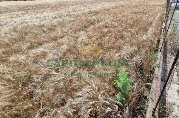 Terreno Agricolo via, San Marco Evangelista