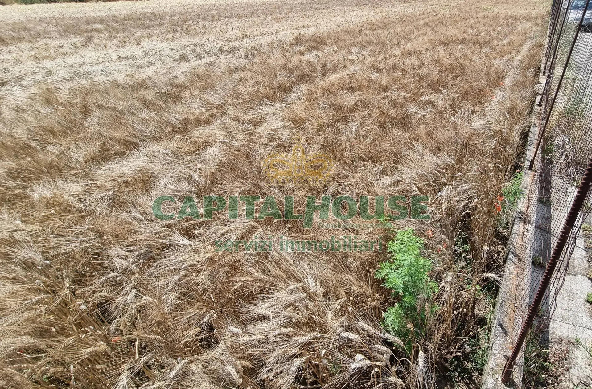 Immagine per Terreno Agricolo in vendita a San Marco Evangelista  