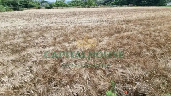 Terreno Agricolo via, San Marco Evangelista