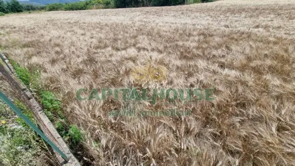 Terreno Agricolo via, San Marco Evangelista