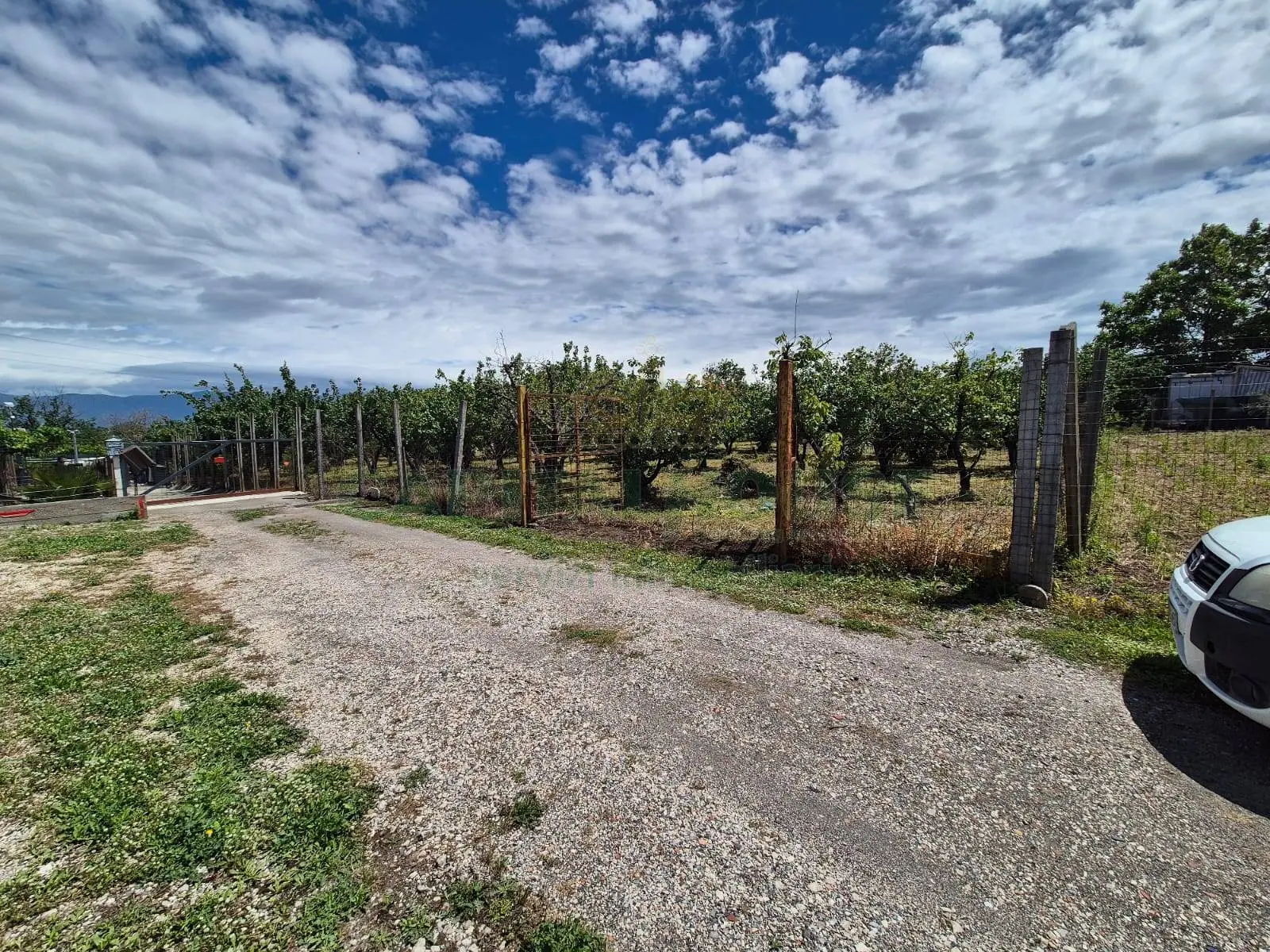Immagine per Terreno Agricolo in vendita a Saviano via Santa Chiara 