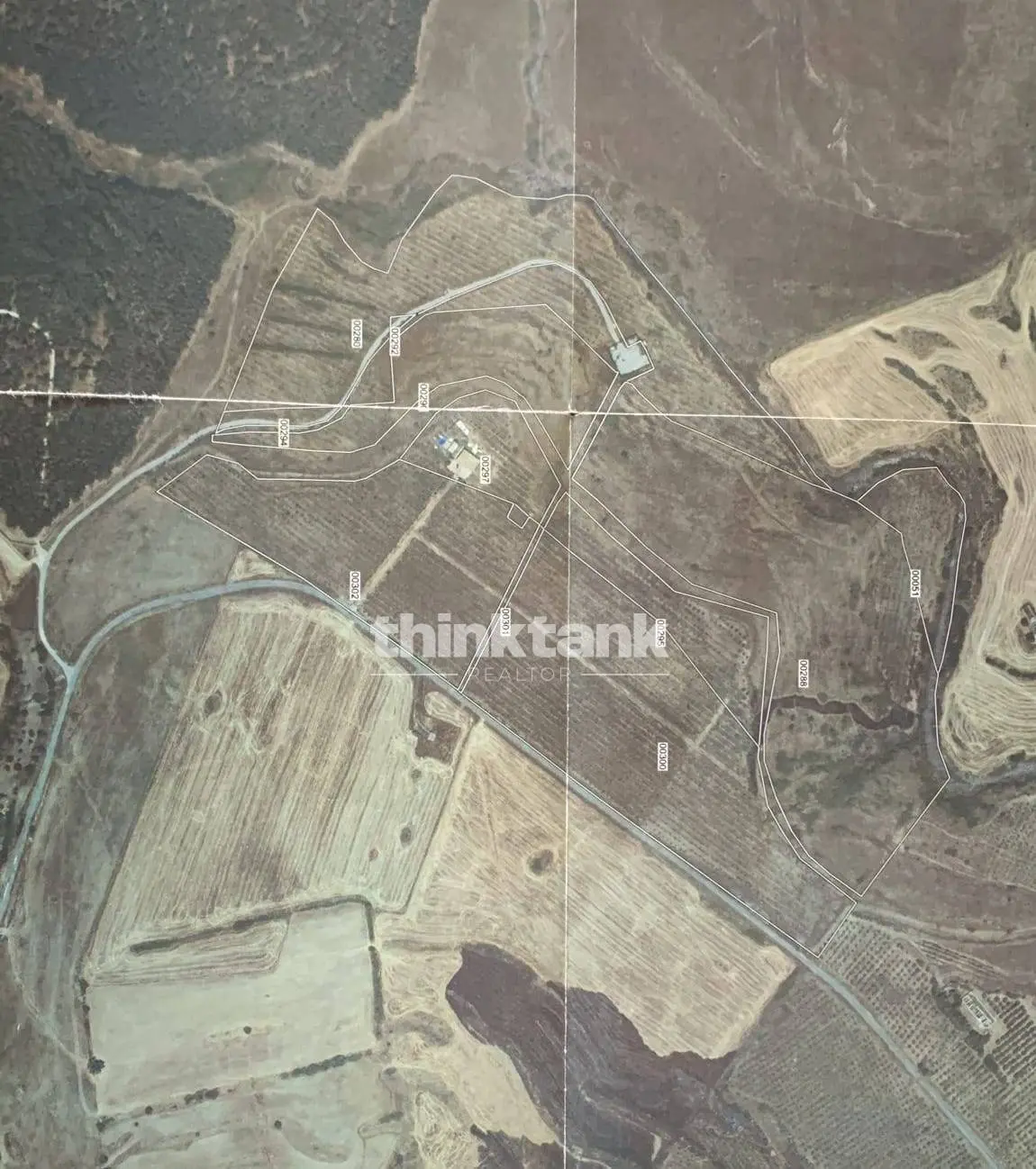 Immagine per Villa in vendita a Francofonte Strada Provinciale 194 