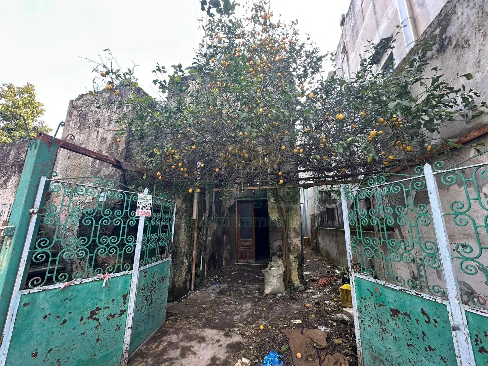 Immagine per Rustico/Casale in vendita a Massa di Somma via vastola 