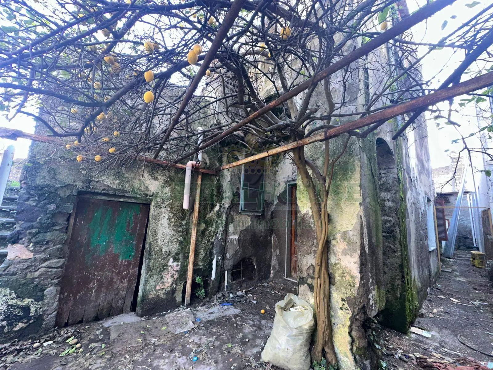 Immagine per Rustico/Casale in vendita a Massa di Somma via vastola 