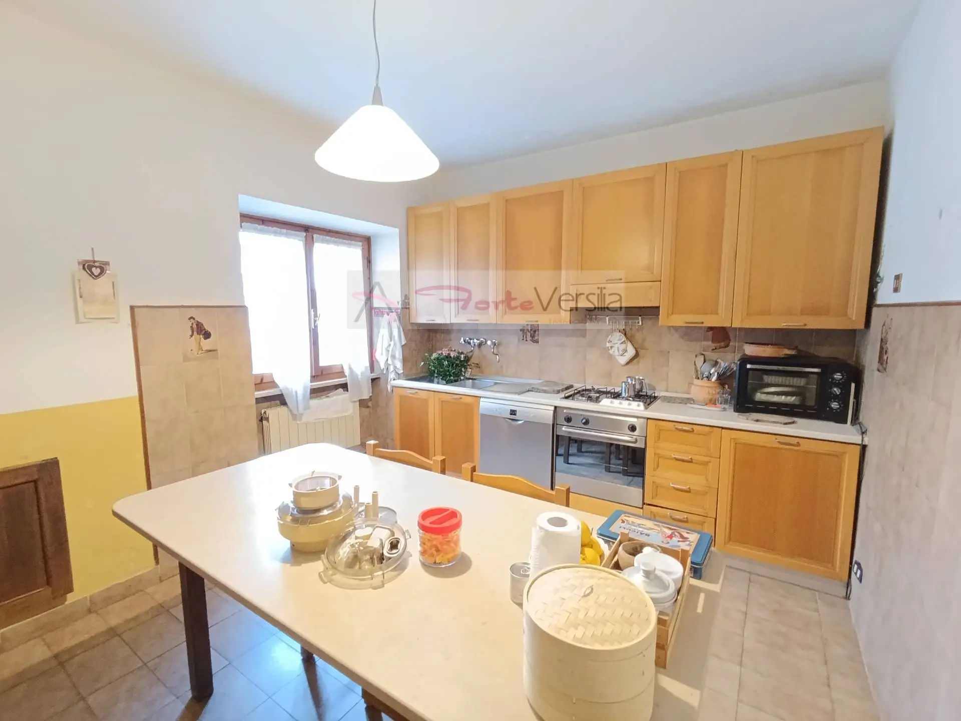 Immagine per Villa in vendita a Pietrasanta  