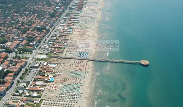 Immagine per Capannone Industriale in vendita a Pietrasanta  