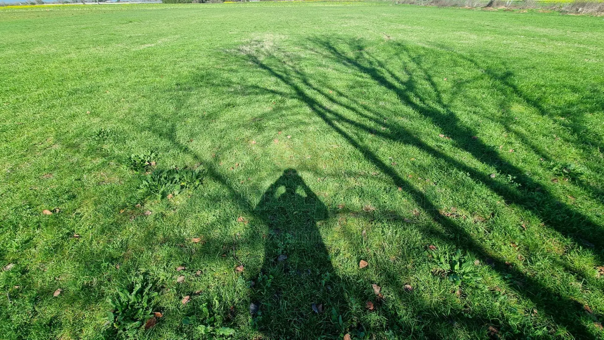 Immagine per Terreno Agricolo in vendita a Marcianise  