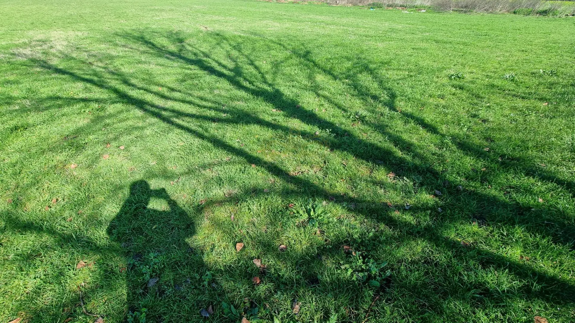 Immagine per Terreno Agricolo in vendita a Marcianise  