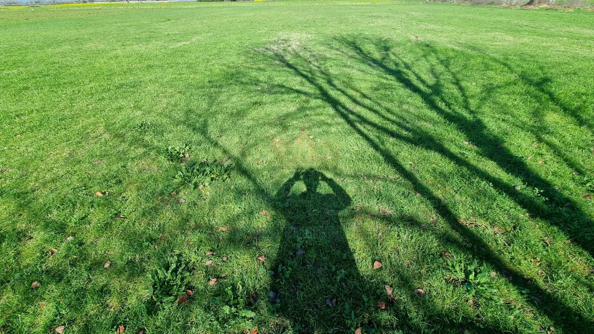 Immagine per Terreno Agricolo in vendita a Marcianise  