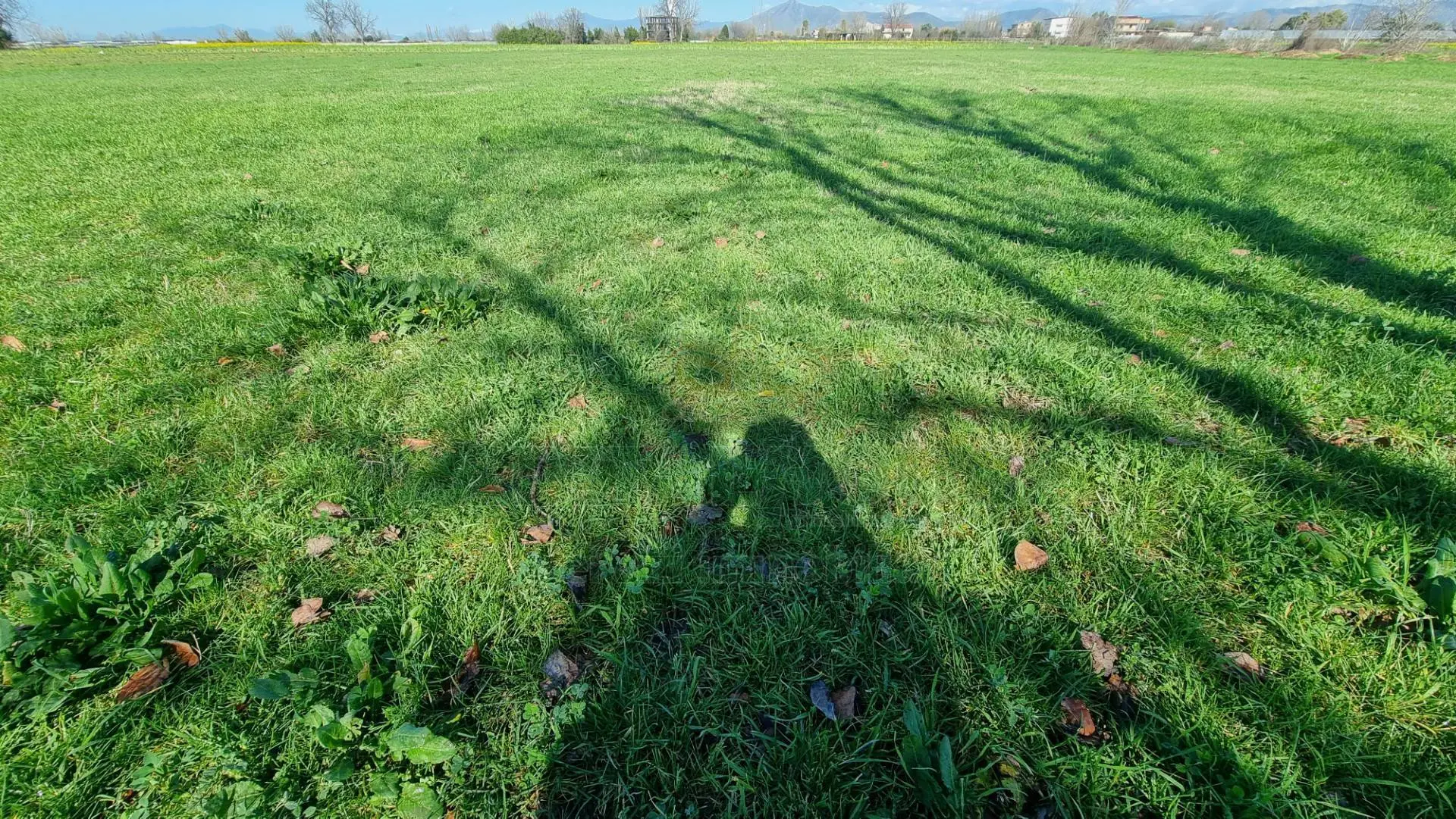 Immagine per Terreno Agricolo in vendita a Marcianise  