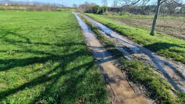 Terreno Agricolo via, Marcianise