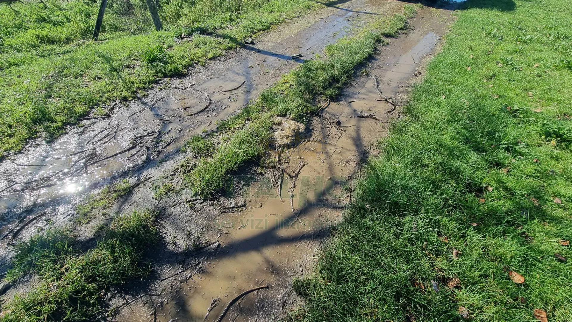 Immagine per Terreno Agricolo in vendita a Marcianise  