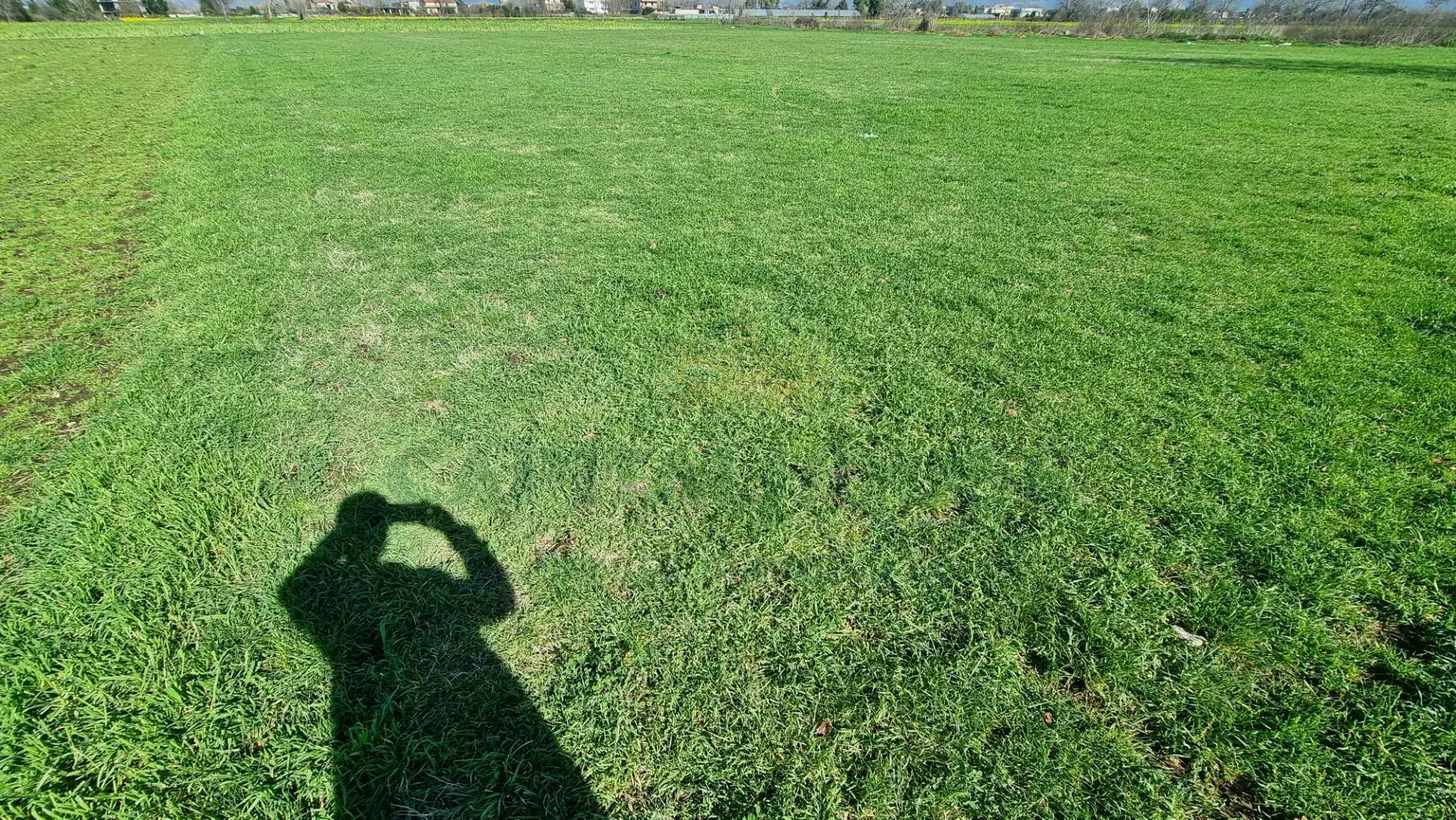 Immagine per Terreno Agricolo in vendita a Marcianise  