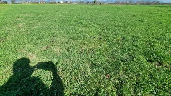 Terreno Agricolo via, Marcianise