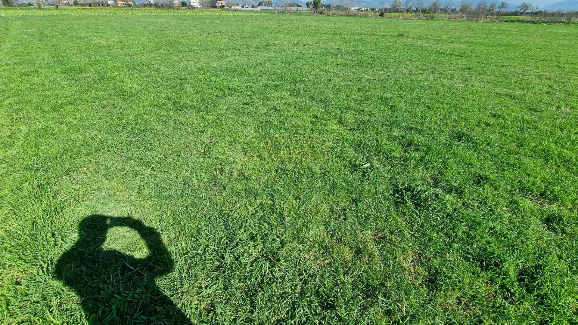 Immagine per Terreno Agricolo in vendita a Marcianise  