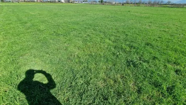 Terreno Agricolo via, Marcianise
