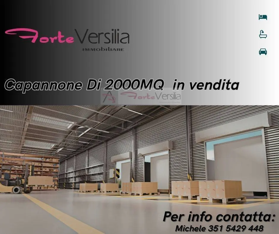 Immagine per Capannone Industriale in vendita a Pietrasanta  