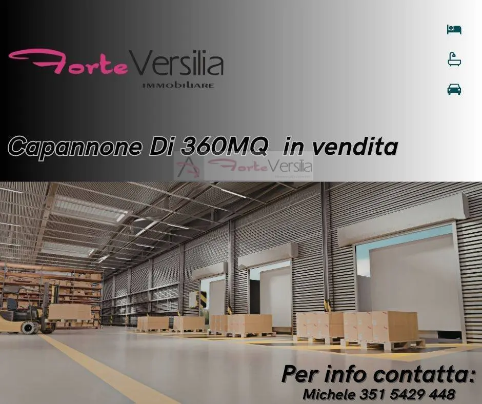 Immagine per Capannone Industriale in vendita a Pietrasanta  