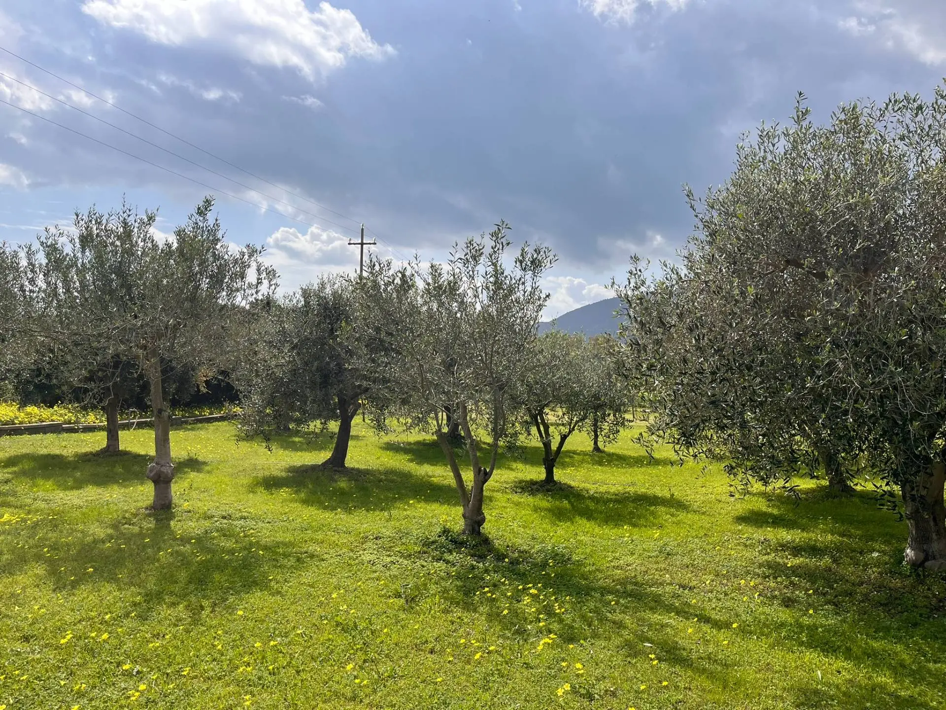 Immagine per Villa in vendita a Muravera  