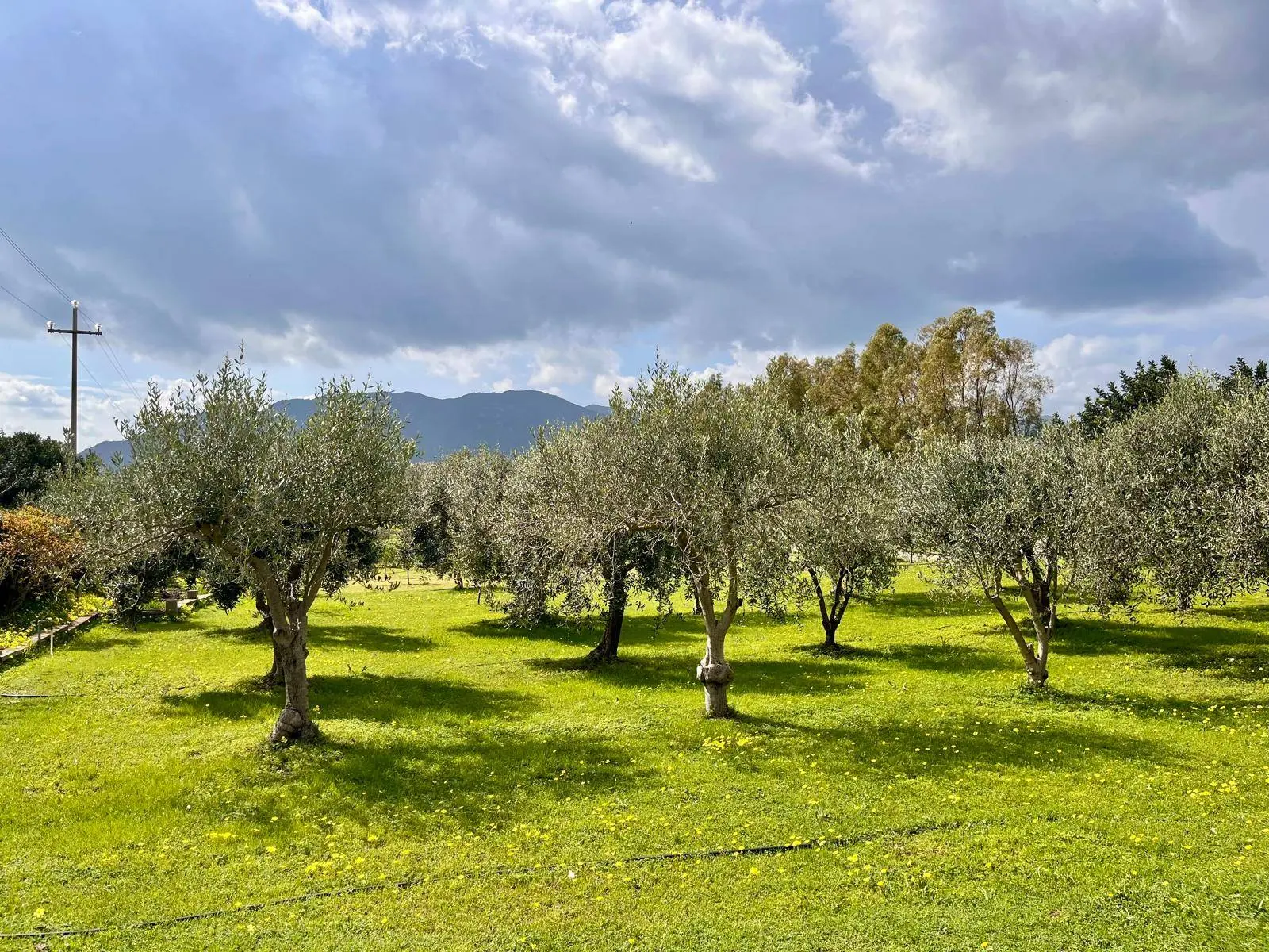 Immagine per Villa in vendita a Muravera  