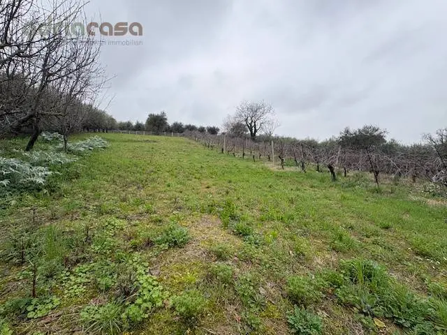 Immagine per Terreno Agricolo in vendita a San Clemente Via Europa 