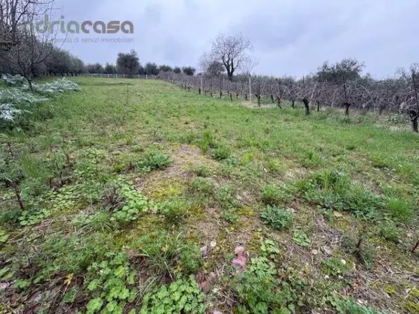 Terreno Agricolo via Europa, San Clemente