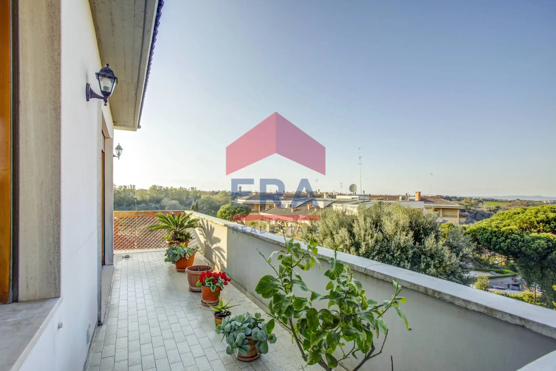 Immagine per Attico/Mansarda in vendita a Roma Via Pandolfo Collenuccio 