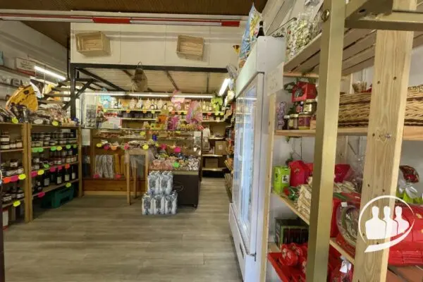 Attività Commerciale via Antonio Genovesi 5, Torino