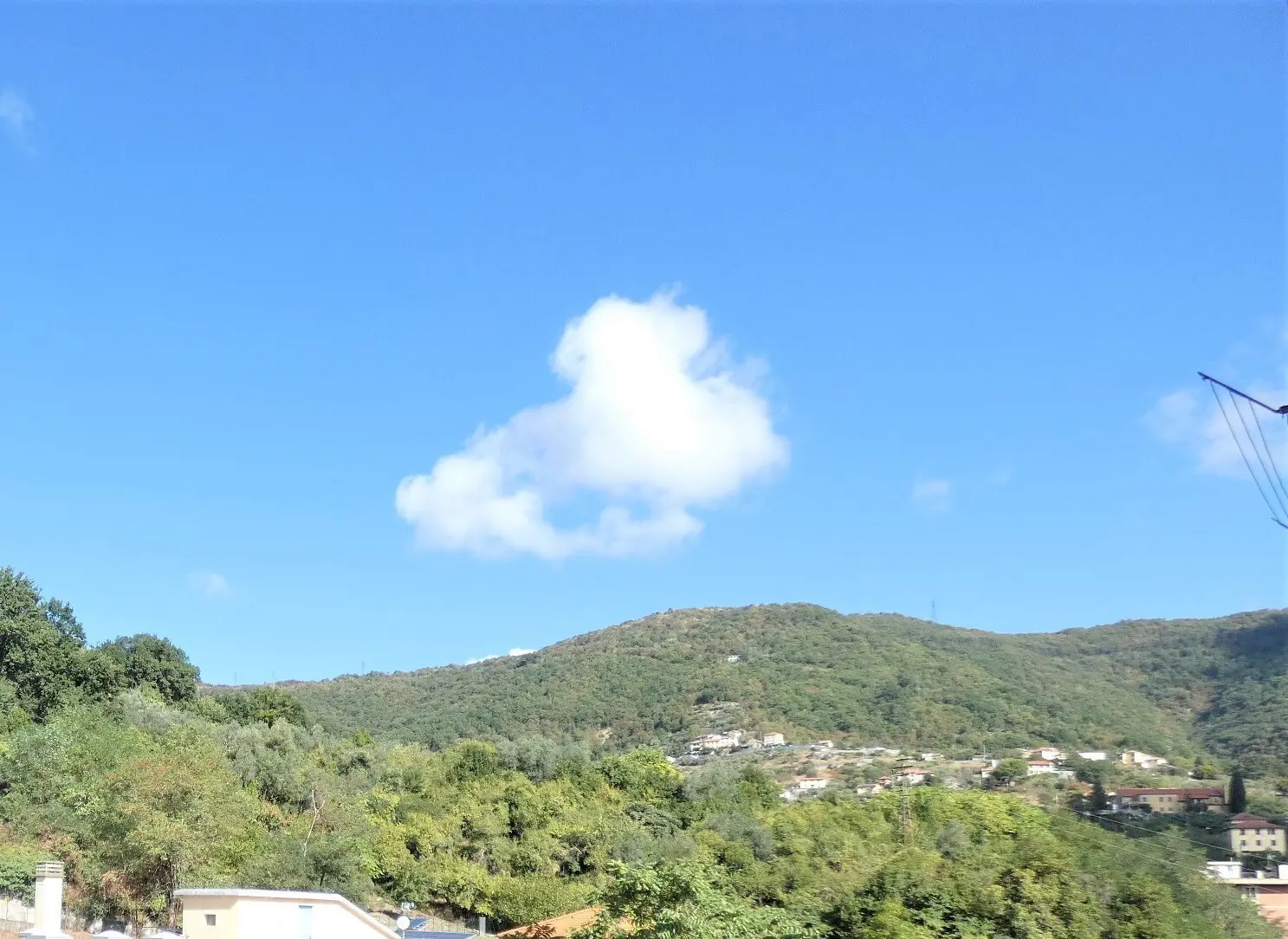 Immagine per Monolocale in affitto a Genova via Salita Di Pino Sottano 2