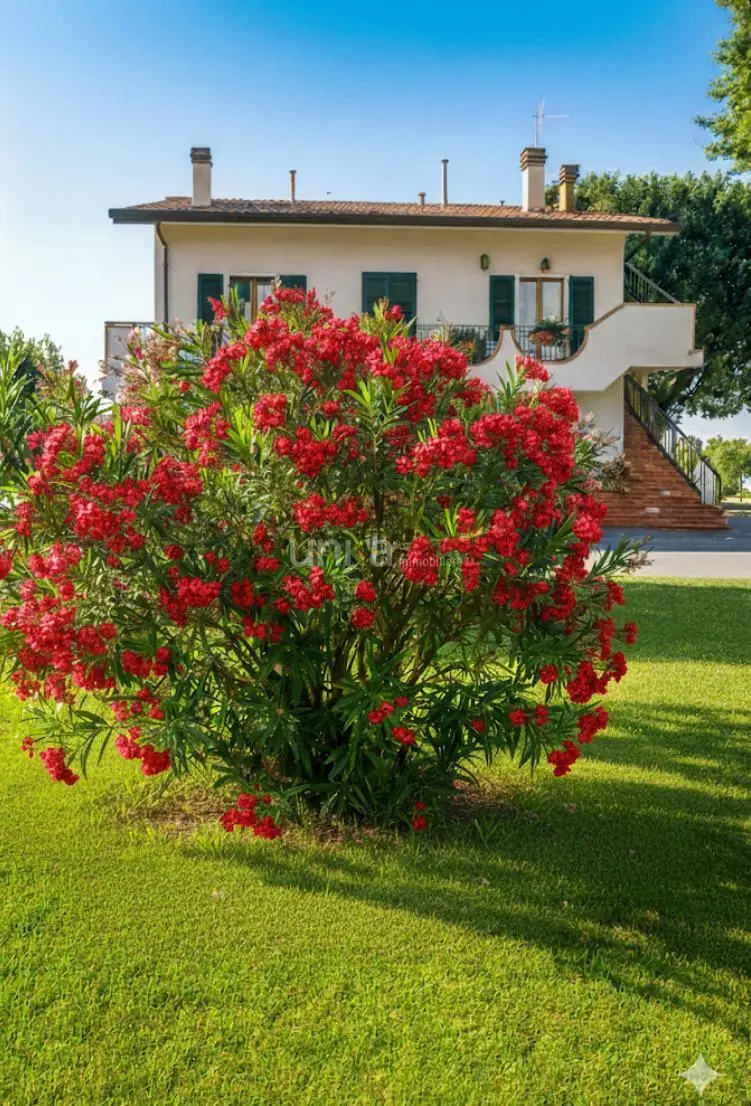 Immagine per Villa trifamiliare in vendita a Jesi via Ponte Pio snc