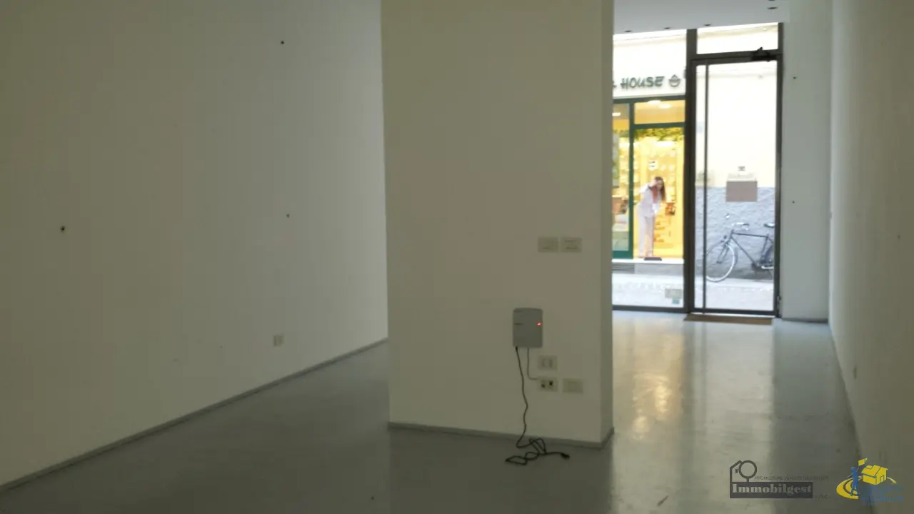 Immagine per Capannone in affitto a Parma via Borgo Angelo Mazza 2