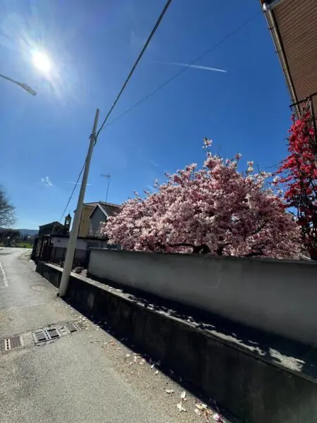 Porzione Di Casa via Milanere 29, Almese