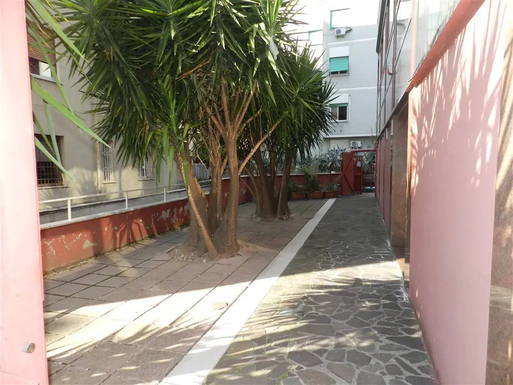 Immagine per Area verde in affitto a Roma via Degli Abeti 29